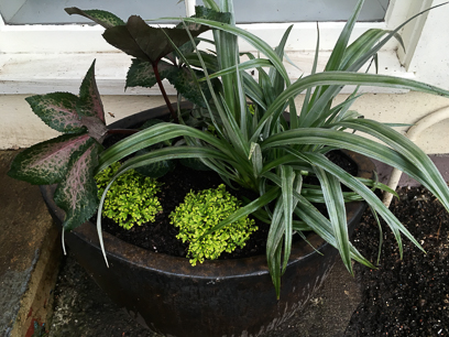 Front Pot